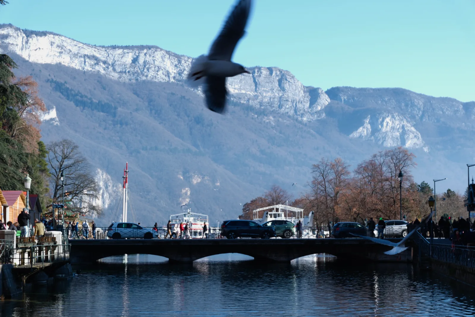 Bridge with bird